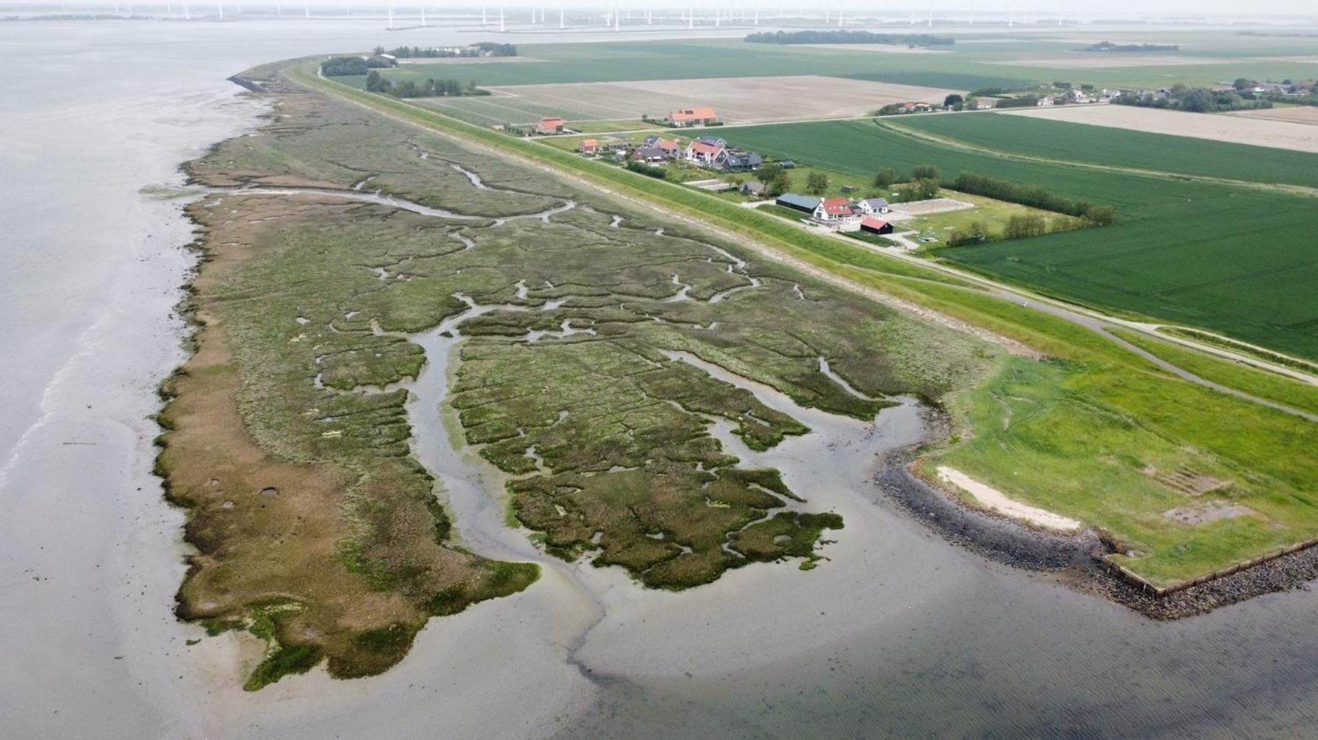 Apartament Philipstere Sint Philipsland Zewnętrze zdjęcie